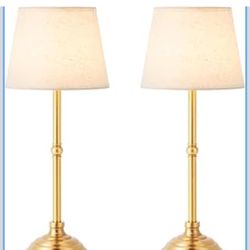 2 Pack Cordless Table Lamp
