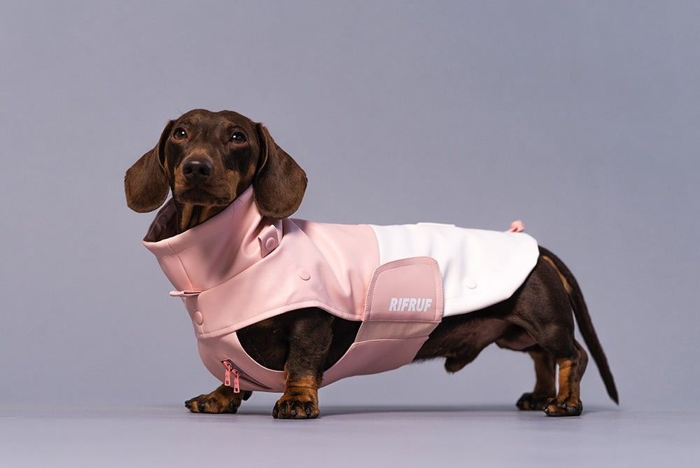Pet Rain Coat