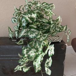 Artificial Foliage 