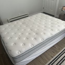 FREE - mattress & box spring (Queen)