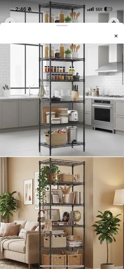 shelf  new