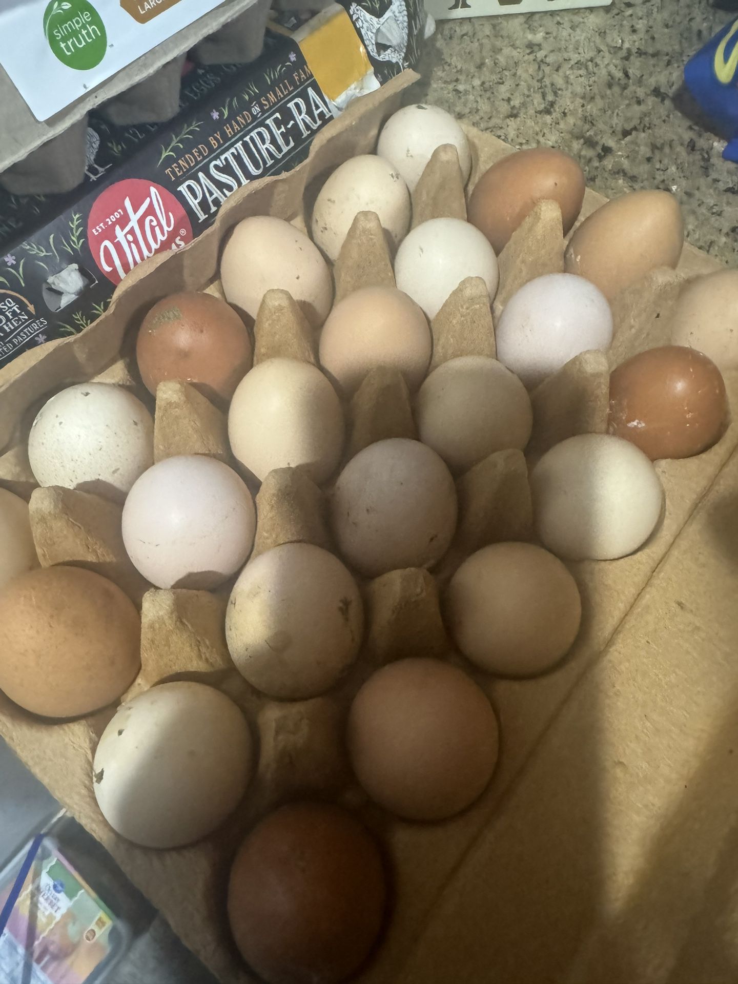 Fresh Eggs Washed Or Unwashed In Renton 