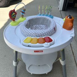 Skip Hop Baby Activity Center