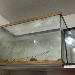 40 Gallon Fish Tank