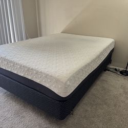 Queen Bed (mattress/box spring/frame)