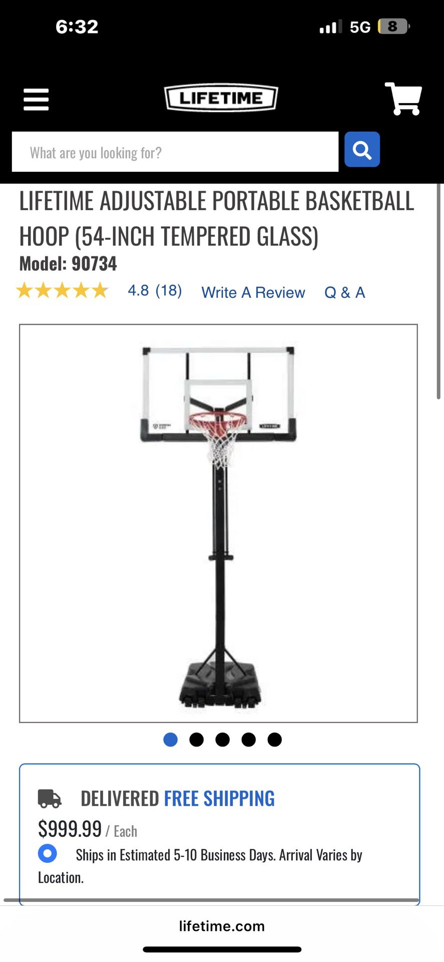 Basketball Portable Hoop