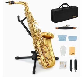Eastar Student Alto Saxophone E Flat for Beginner Sax Full Kit with Carrying Case, Mouthpiece, Straps, Reeds, Stand, Golden Lacquer, AS-Ⅱ