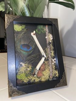 Fame ( Shadow Box )