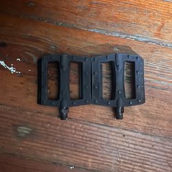 Theory pedals