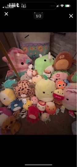Squishmellow bundle