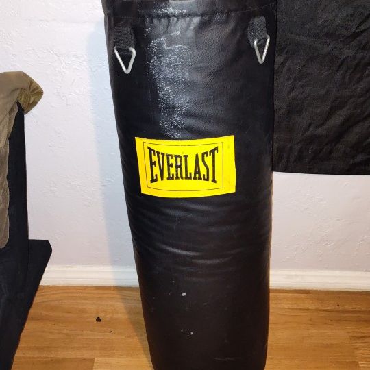 Everlast Punching Bag