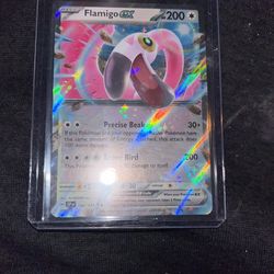 Raw Flamingo Ex 