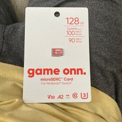Nintendo Switch Memory