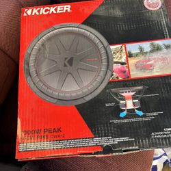Kicker 12” speaker