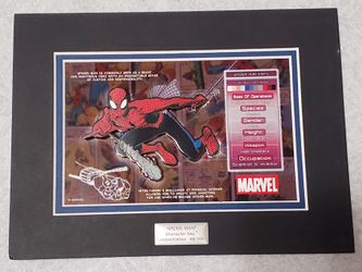 ACME Spiderman Character Key Limited Edition 48/(contact info removed)