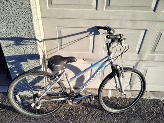Schwinn Ranger 2.5