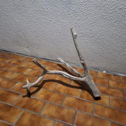 Driftwood For Fish Tank