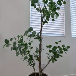 Premium Indoor Faux Plants (1 Large, 3 Small)