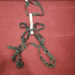 Climbing Harness 