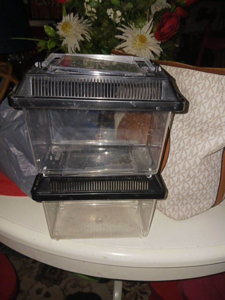 2 Small Fish Insects Etc Containers 5 Both Look My Post Tons Item