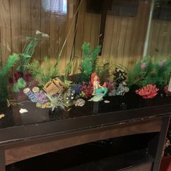 65 Gallon Tank Comes With Everything