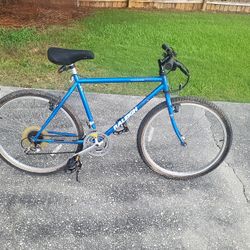 26" Traverse Raleigh  