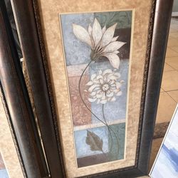 Frames 