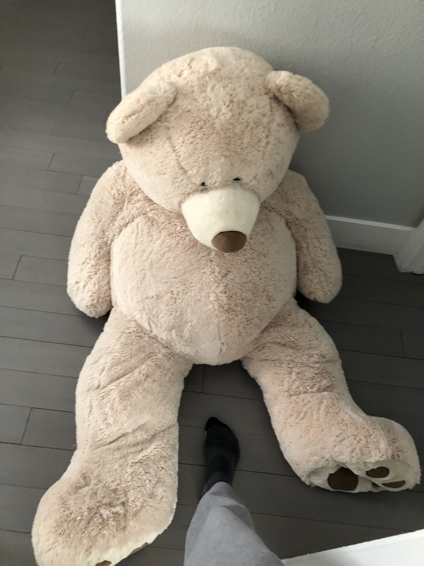 Giant teddy bear