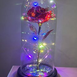 Rose  With Led Lights 