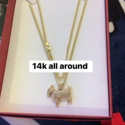 14k Chain With goat Diamond 💎 Pendant And 14k Diamond earrings 