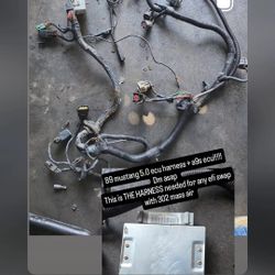 Mustang Foxbody 89 Ecu Harness And A9s Ecu 5.0 