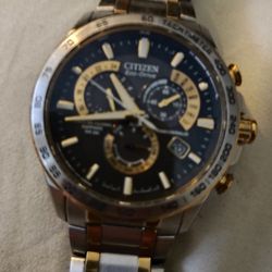 Citizen Echo Drive Watch Used 