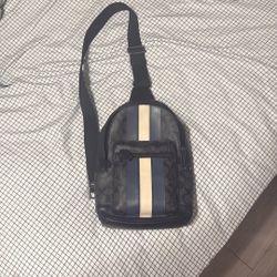 Coach Coach Signature Messenger Bag