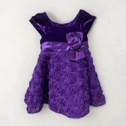 2T  Purple Dress Rose Flower  24 Months Velvet 4 Layer Skirt Button Up Bow Short Sleeve