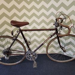 Centurion Bike