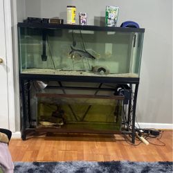 Two Tanks For Sale Together 170For Everything But The Fish 