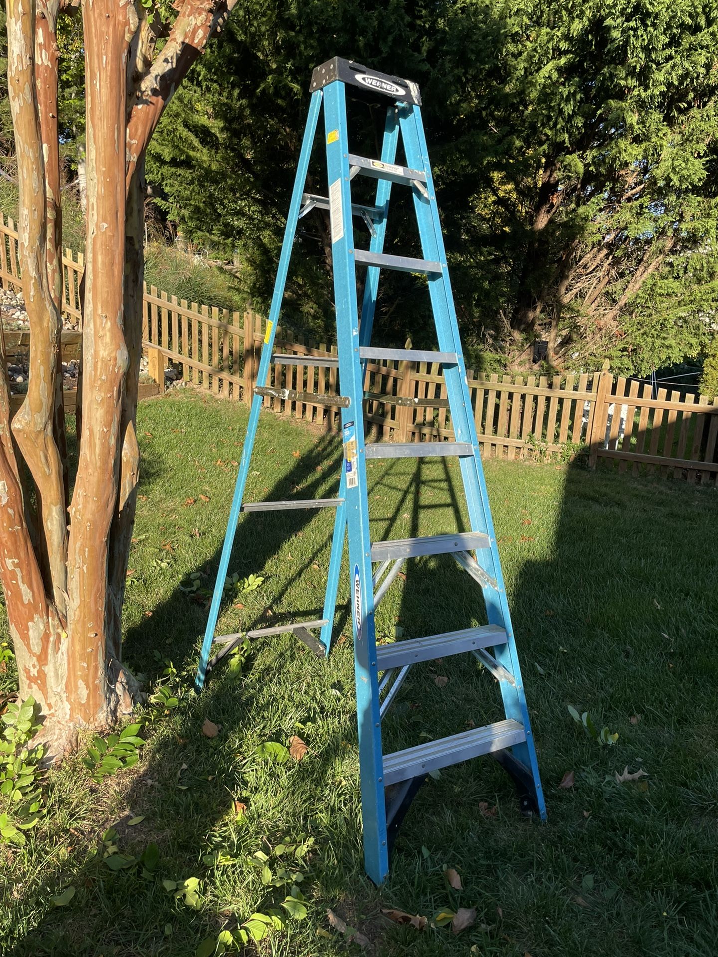 Werner 8 ft. Fiberglass Step Ladder