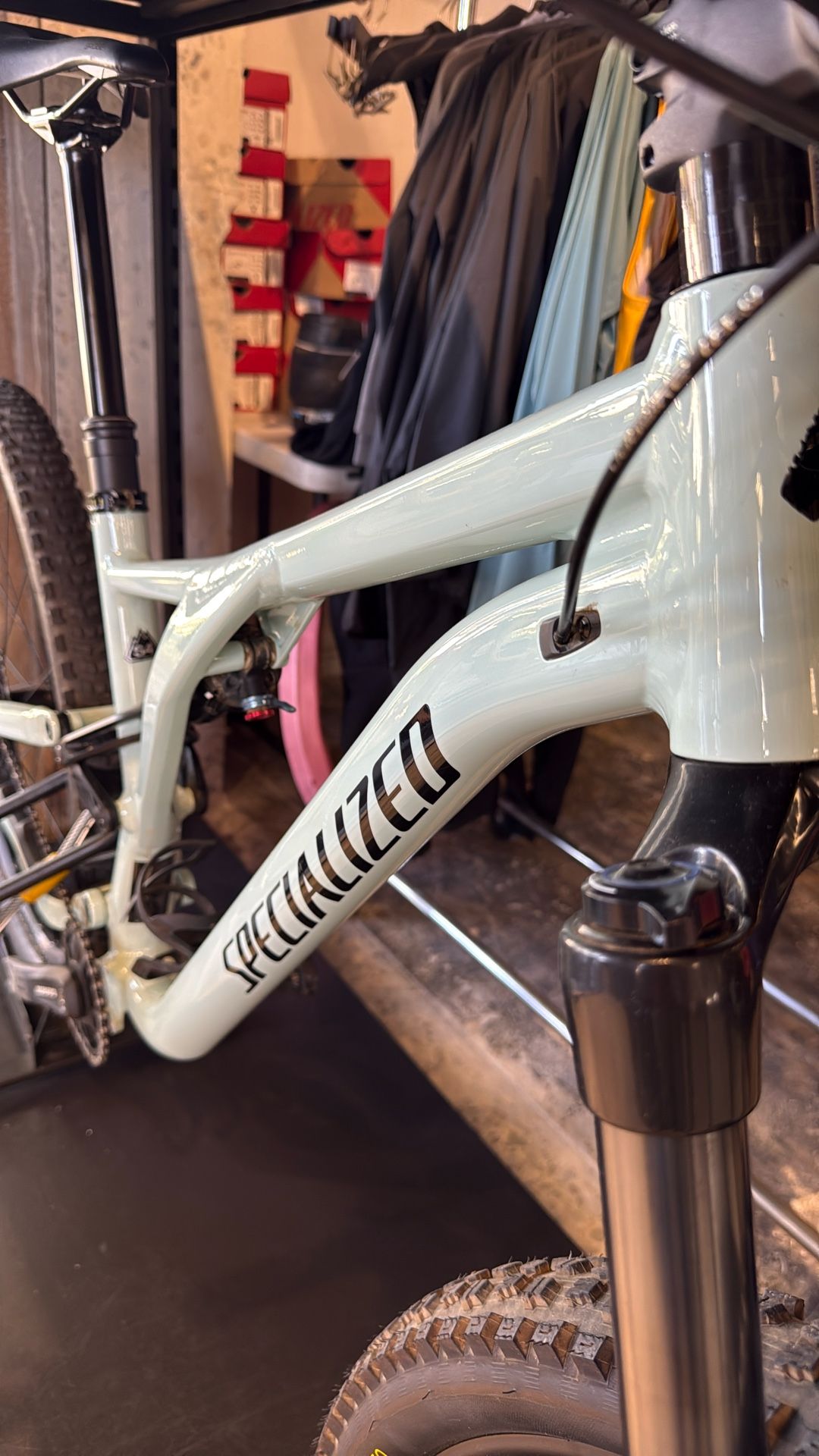 Stumpjumper Alloy 2022 S4