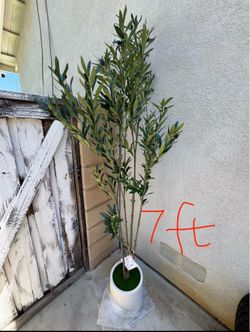 7FT Tall Faux Olive Tree with White Planter(In Box)