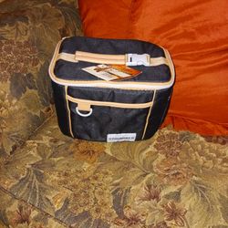 Equinox Insulated Lunch Bag $15