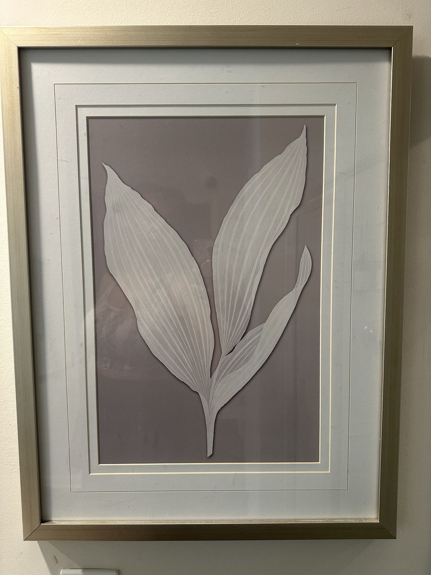 Set Of 6 - Floral Wall-art
