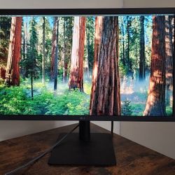 LG UltraFine 24MD4KL-B 4K Monitor