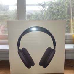 Apple AirPods Max space gray (Lighting-C)