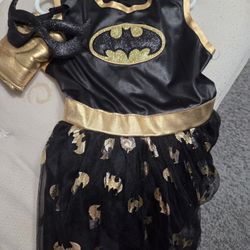 Batgirl.  Halloween Costume