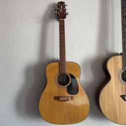Takamine EG-240 with Gig Bag