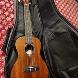 Protege (by Cordoba) U1-M concert ukulele