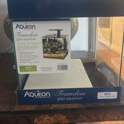 Glass Aquarium 