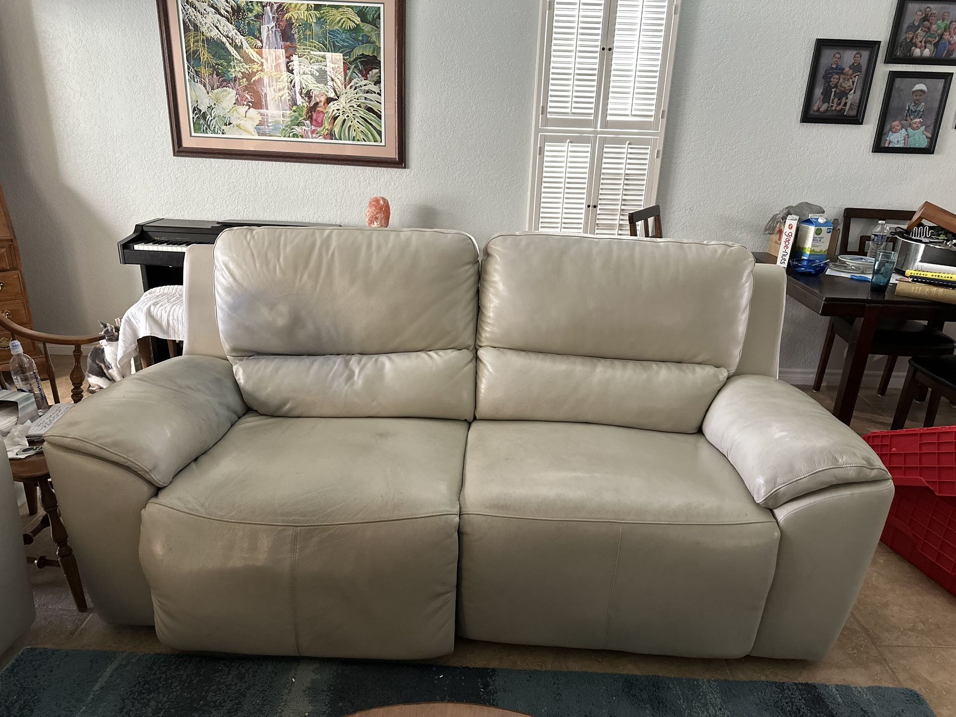 Free Reclining Leather Sofa
