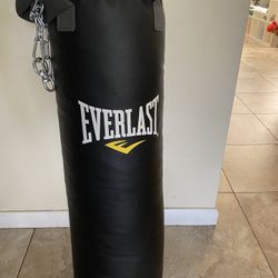 Everlast Boxing Bag Bundle With Gloves Or Trade For Monitor
