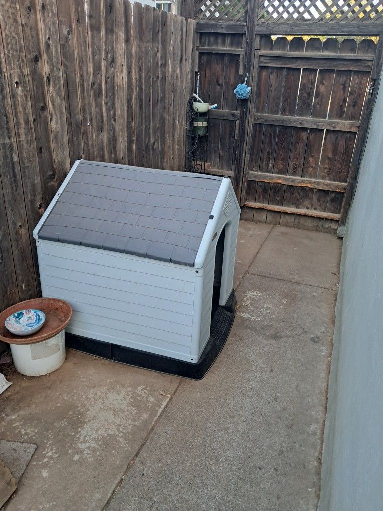 Dog House